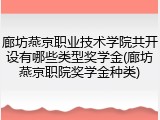 廊坊燕京职业技术学院共开设有哪些类型奖学金(廊坊燕京职院奖学金种类)