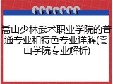 嵩山少林武术职业学院的普通专业和特色专业详解(嵩山学院专业解析)