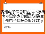 贵州电子信息职业技术学院高考需多少分能录取呢(贵州电子信院录取分数)