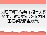 沈阳工程学院每年招生人数多少，政策变动如何(沈阳工程学院招生政策)