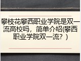 攀枝花攀西职业学院是双一流高校吗，简单介绍(攀西职业学院双一流？)