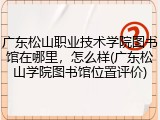 广东松山职业技术学院图书馆在哪里，怎么样(广东松山学院图书馆位置评价)
