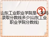 山东工业职业学院是一本吗录取分数线多少(山东工业职业学院分数线)