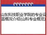 山东科技职业学院的专业设置概况介绍(山科专业概览)