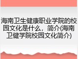 海南卫生健康职业学院的校园文化是什么，简介(海南卫健学院校园文化简介)