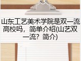 山东工艺美术学院是双一流高校吗，简单介绍(山艺双一流？简介)