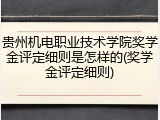 贵州机电职业技术学院奖学金评定细则是怎样的(奖学金评定细则)