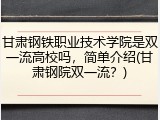甘肃钢铁职业技术学院是双一流高校吗，简单介绍(甘肃钢院双一流？)