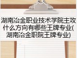 湖南冶金职业技术学院主攻什么方向有哪些王牌专业(湖南冶金职院王牌专业)