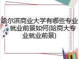 哈尔滨商业大学有哪些专业，就业前景如何(哈商大专业就业前景)