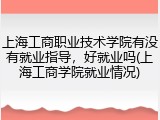 上海工商职业技术学院有没有就业指导，好就业吗(上海工商学院就业情况)