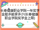 长春健康职业学院一年奖学金最多能拿多少(长春健康职业学院奖学金上限)