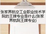 张家界航空工业职业技术学院的王牌专业是什么(张家界航院王牌专业)