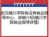武汉晴川学院有没有就业指导中心，详细介绍(晴川学院就业指导详情)