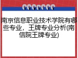 南京信息职业技术学院有哪些专业，王牌专业分析(南信院王牌专业)