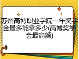 苏州高博职业学院一年奖学金最多能拿多少(高博奖学金最高额)