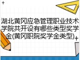 湖北黄冈应急管理职业技术学院共开设有哪些类型奖学金(黄冈职院奖学金类型)