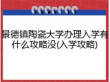 景德镇陶瓷大学办理入学有什么攻略没(入学攻略)
