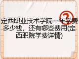 定西职业技术学院一年学费多少钱，还有哪些费用(定西职院学费详情)