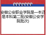 安徽公安职业学院是一本还是本科第二批(安徽公安学院批次)