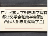 广西民族大学相思湖学院有哪些奖学金和助学金呢(广西民大相思湖奖助学金)