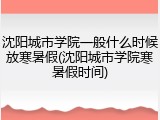 沈阳城市学院一般什么时候放寒暑假(沈阳城市学院寒暑假时间)