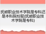 抚顺职业技术学院是专科还是本科院校呢(抚顺职业技术学院是专科)
