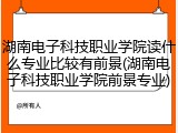 湖南电子科技职业学院读什么专业比较有前景(湖南电子科技职业学院前景专业)