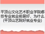 平顶山文化艺术职业学院哪些专业就业前景好，为什么(平顶山艺院好就业专业)