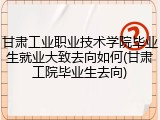 甘肃工业职业技术学院毕业生就业大致去向如何(甘肃工院毕业生去向)