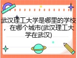 武汉理工大学是哪里的学校，在哪个城市(武汉理工大学在武汉)