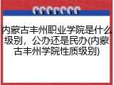 内蒙古丰州职业学院是什么级别，公办还是民办(内蒙古丰州学院性质级别)