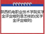 陕西机电职业技术学院奖学金评定细则是怎样的(奖学金评定细则)