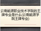 云南能源职业技术学院的王牌专业是什么(云南能源学院王牌专业)