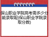 保山职业学院高考需多少分能录取呢(保山职业学院录取分数)