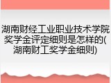 湖南财经工业职业技术学院奖学金评定细则是怎样的(湖南财工奖学金细则)