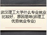 武汉理工大学什么专业就业比较好，原因是啥(武理工优势就业专业)