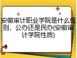安徽审计职业学院是什么级别，公办还是民办(安徽审计学院性质)