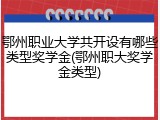 鄂州职业大学共开设有哪些类型奖学金(鄂州职大奖学金类型)