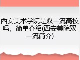 西安美术学院是双一流高校吗，简单介绍(西安美院双一流简介)