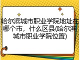 哈尔滨城市职业学院地址在哪个市，什么区县(哈尔滨城市职业学院位置)
