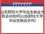 山东财经大学毕业生就业大致去向如何(山东财经大学毕业生就业去向)