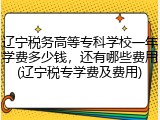 辽宁税务高等专科学校一年学费多少钱，还有哪些费用(辽宁税专学费及费用)