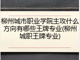 柳州城市职业学院主攻什么方向有哪些王牌专业(柳州城职王牌专业)