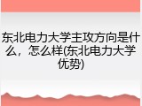 东北电力大学主攻方向是什么，怎么样(东北电力大学优势)