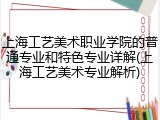 上海工艺美术职业学院的普通专业和特色专业详解(上海工艺美术专业解析)