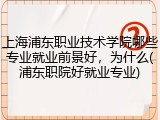 上海浦东职业技术学院哪些专业就业前景好，为什么(浦东职院好就业专业)