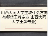 山西大同大学主攻什么方向有哪些王牌专业(山西大同大学王牌专业)