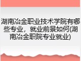 湖南冶金职业技术学院有哪些专业，就业前景如何(湖南冶金职院专业就业)
