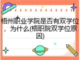 梧州职业学院是否有双学位，为什么(梧职院双学位原因)